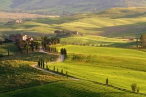 宝马世界杯海报，创意与文化的完美融合宝马世界杯海报